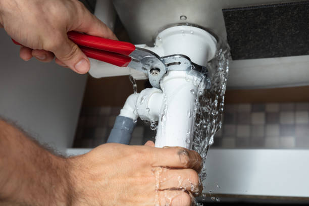 Best Water damage restoration near me  in Three Oaks, MI