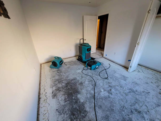 Best Flood damage cleanup  in Three Oaks, MI