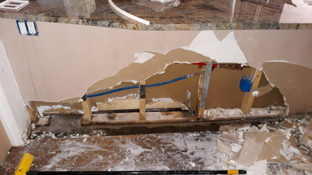 Best Sewage cleanup and water damage restoration  in Three Oaks, MI