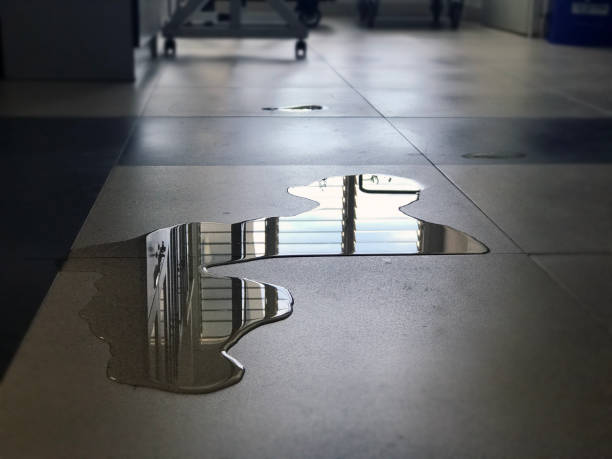 Best Carpet water damage restoration  in Three Oaks, MI