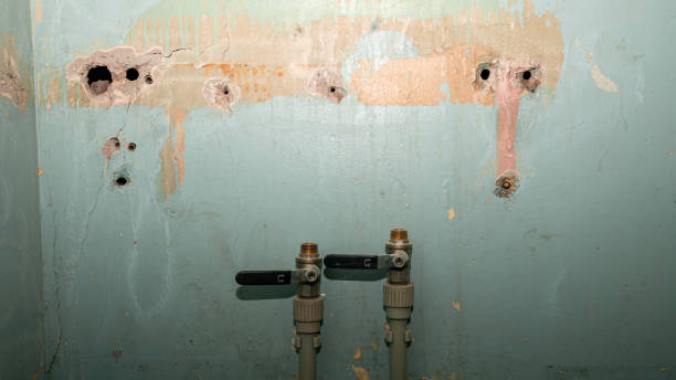 Best 24/7 water damage repair  in Three Oaks, MI