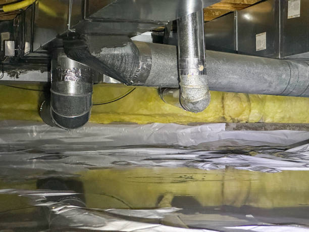 Best Water damage contractors near me  in Three Oaks, MI