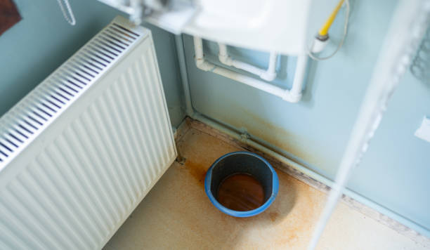 Best Commercial water damage restoration  in Three Oaks, MI